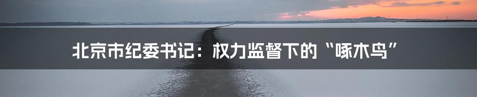 北京市纪委书记:权力监督下的“啄木鸟”