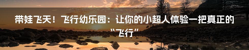 带娃飞天!飞行幼乐园:让你的小超人体验一把真正的“飞行”