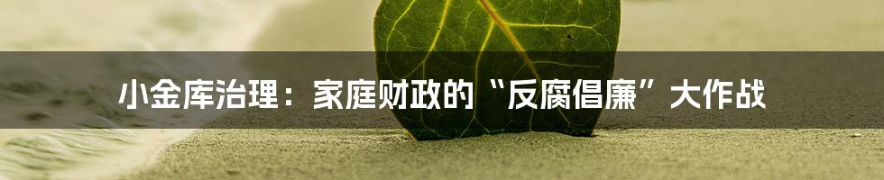 小金库治理:家庭财政的“反腐倡廉”大作战