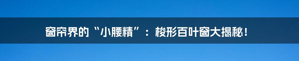窗帘界的“小腰精”:梭形百叶窗大揭秘!