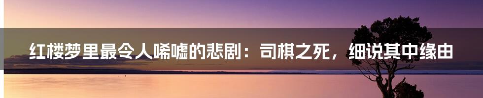 红楼梦里最令人唏嘘的悲剧:司棋之死,细说其中缘由