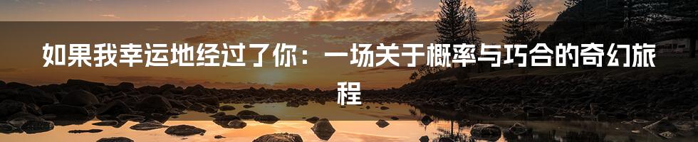 如果我幸运地经过了你:一场关于概率与巧合的奇幻旅程