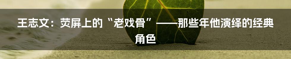王志文：荧屏上的“老戏骨”——那些年他演绎的经典角色