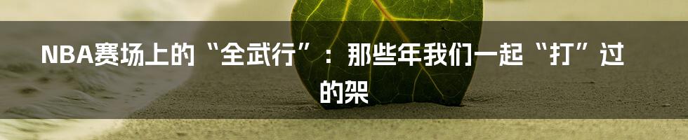 NBA赛场上的“全武行”:那些年我们一起“打”过的架