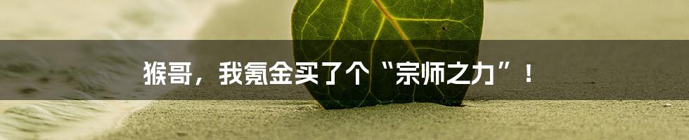 猴哥,我氪金买了个“宗师之力”!