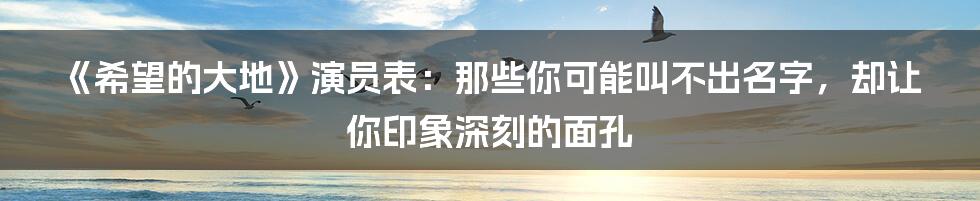 《希望的大地》演员表:那些你可能叫不出名字,却让你印象深刻的面孔