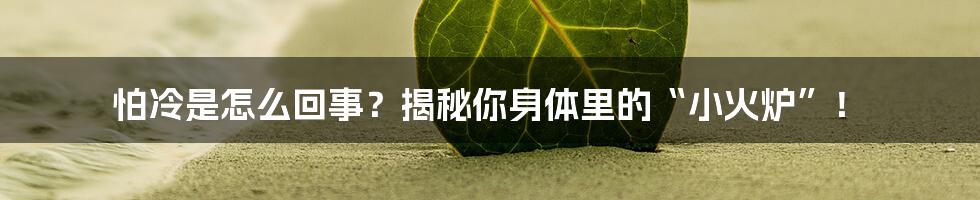 怕冷是怎么回事?揭秘你身体里的“小火炉”!