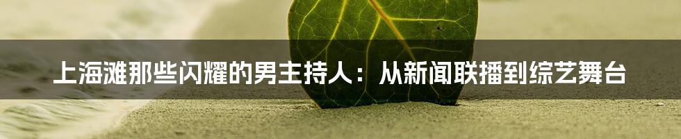 上海滩那些闪耀的男主持人:从新闻联播到综艺舞台