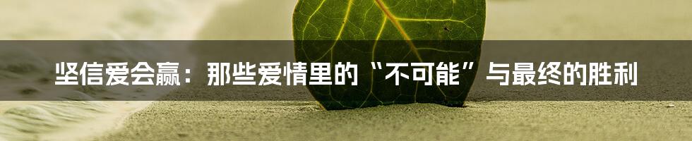 坚信爱会赢:那些爱情里的“不可能”与最终的胜利