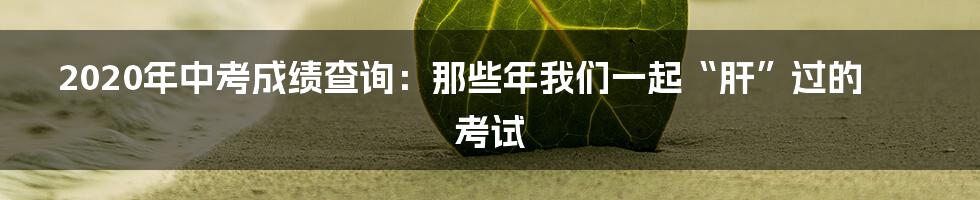 2020年中考成绩查询:那些年我们一起“肝”过的考试