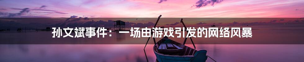 孙文斌事件：一场由游戏引发的网络风暴