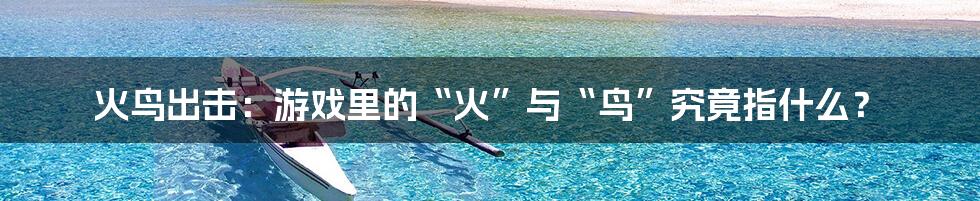 火鸟出击:游戏里的“火”与“鸟”究竟指什么?
