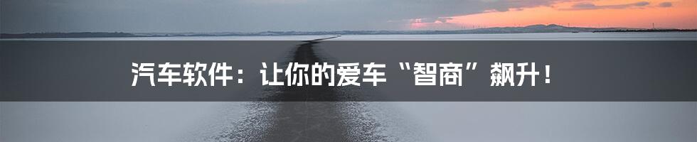 汽车软件:让你的爱车“智商”飙升!