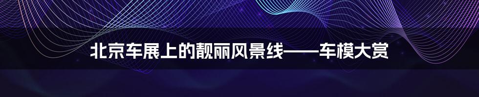 北京车展上的靓丽风景线——车模大赏