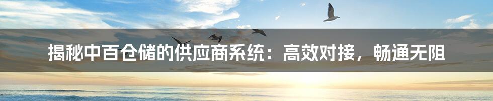 揭秘中百仓储的供应商系统:高效对接,畅通无阻