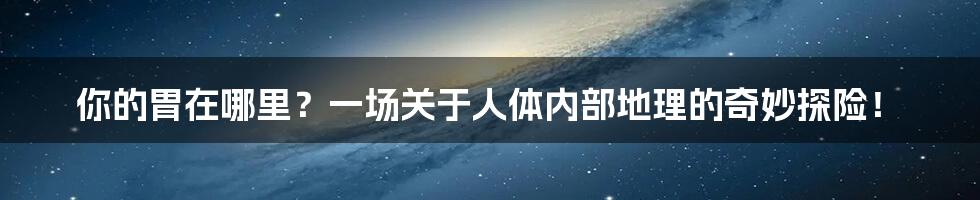 你的胃在哪里?一场关于人体内部地理的奇妙探险!