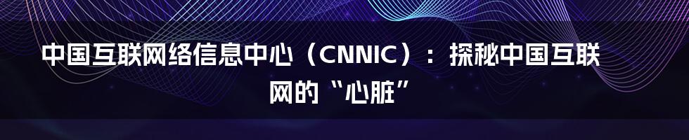 中国互联网络信息中心(CNNIC):探秘中国互联网的“心脏”