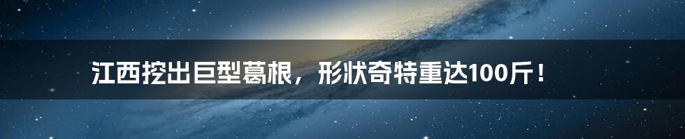 江西挖出巨型葛根,形状奇特重达100斤!