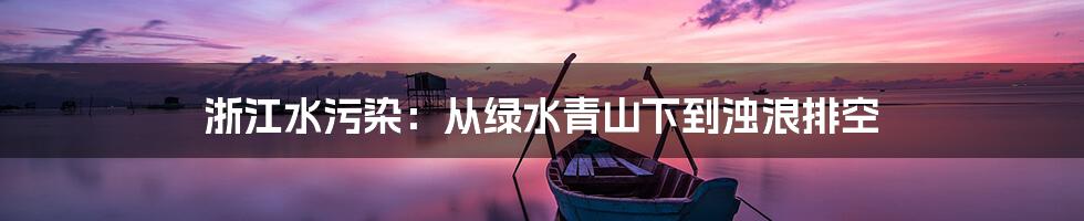 浙江水污染:从绿水青山下到浊浪排空