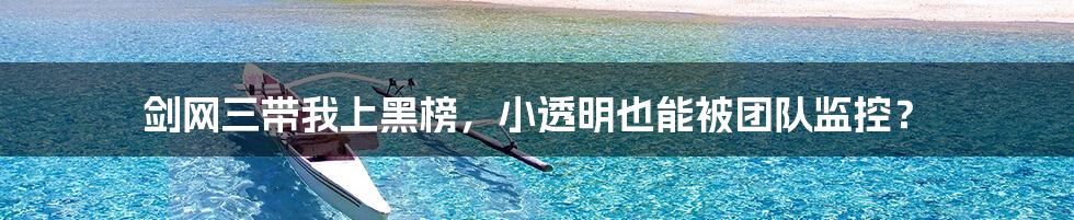 剑网三带我上黑榜,小透明也能被团队监控?