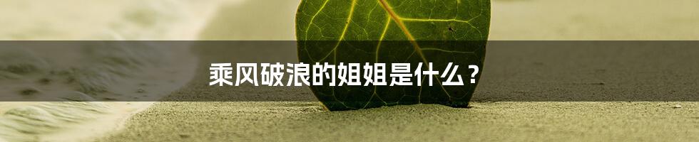 乘风破浪的姐姐是什么?