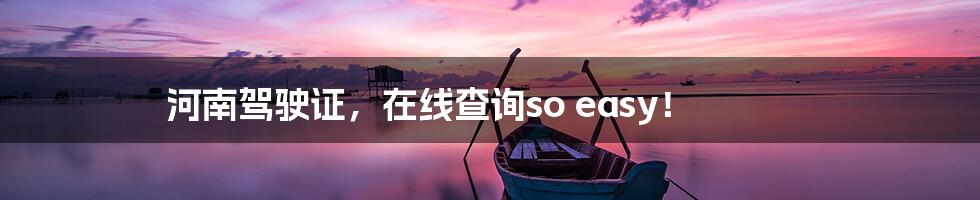 河南驾驶证,在线查询so easy!