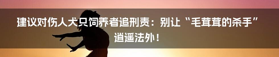 建议对伤人犬只饲养者追刑责:别让“毛茸茸的杀手”逍遥法外!