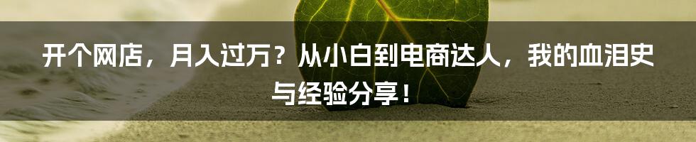 开个网店,月入过万?从小白到电商达人,我的血泪史与经验分享!