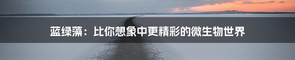 蓝绿藻:比你想象中更精彩的微生物世界