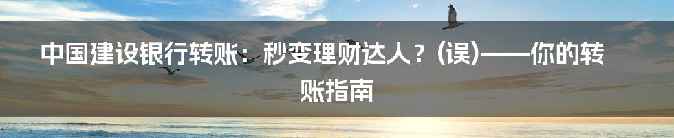 中国建设银行转账:秒变理财达人?(误)——你的转账指南