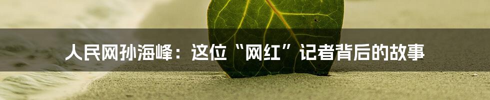 人民网孙海峰:这位“网红”记者背后的故事