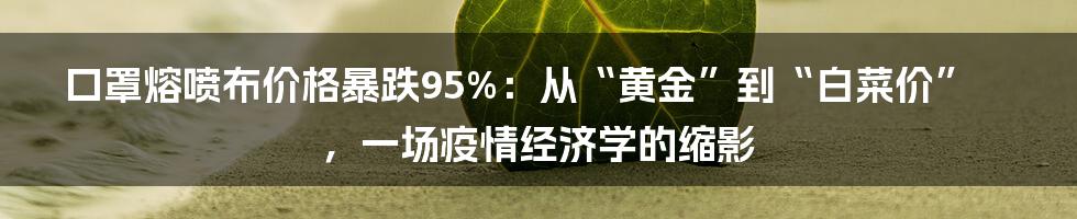 口罩熔喷布价格暴跌95%:从“黄金”到“白菜价”,一场疫情经济学的缩影