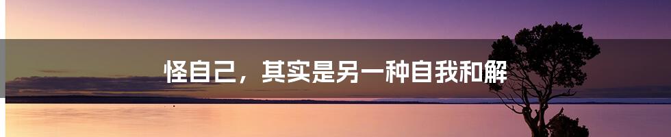 怪自己，其实是另一种自我和解
