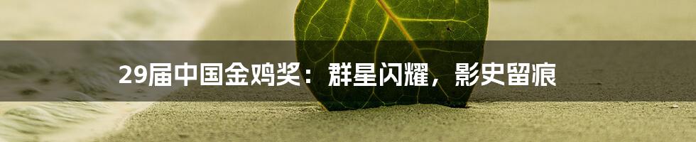 29届中国金鸡奖:群星闪耀,影史留痕