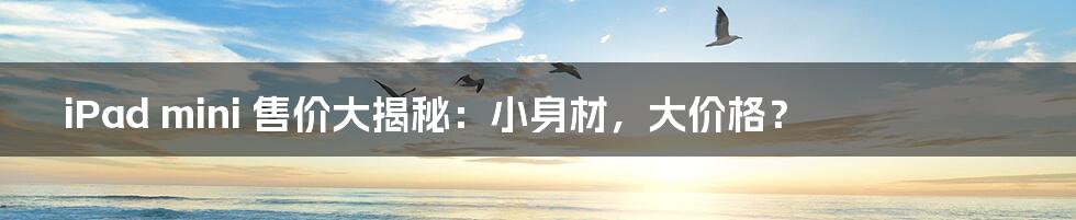 iPad mini 售价大揭秘:小身材,大价格?