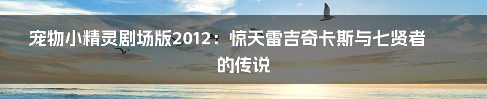 宠物小精灵剧场版2012：惊天雷吉奇卡斯与七贤者的传说