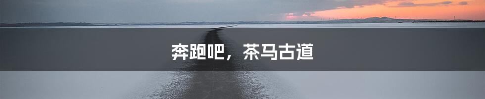 奔跑吧，茶马古道