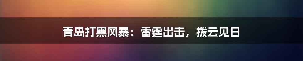 青岛打黑风暴:雷霆出击,拨云见日