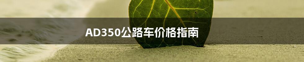AD350公路车价格指南