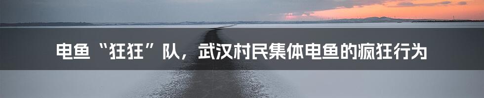 电鱼“狂狂”队,武汉村民集体电鱼的疯狂行为