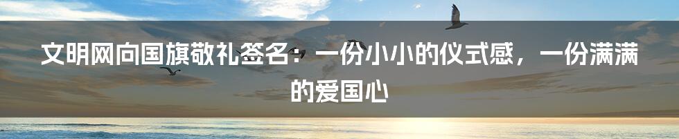 文明网向国旗敬礼签名:一份小小的仪式感,一份满满的爱国心