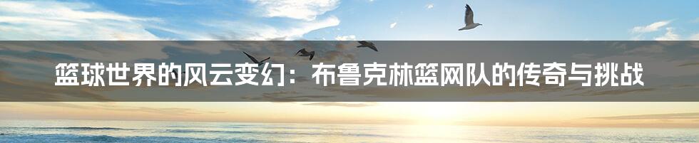 篮球世界的风云变幻:布鲁克林篮网队的传奇与挑战