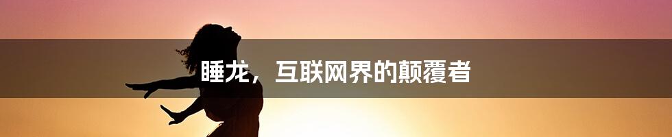 睡龙,互联网界的颠覆者