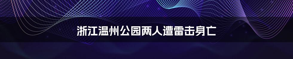 浙江温州公园两人遭雷击身亡