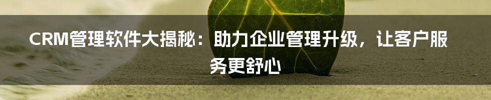 CRM管理软件大揭秘:助力企业管理升级,让客户服务更舒心