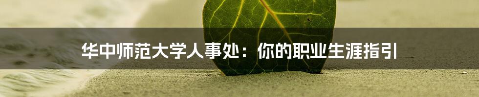 华中师范大学人事处:你的职业生涯指引