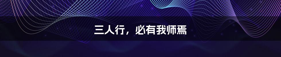 三人行,必有我师焉