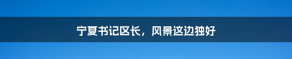 宁夏书记区长,风景这边独好
