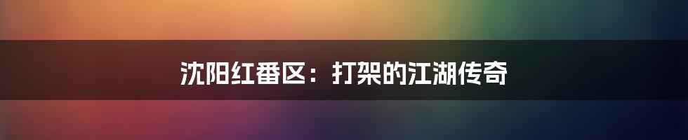 沈阳红番区:打架的江湖传奇