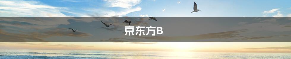 京东方B
